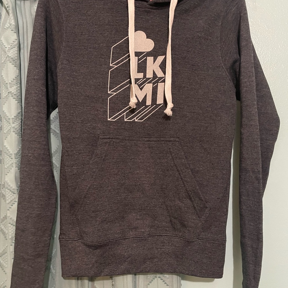 Dark Gray Hoodie with lake michigan Graphic Design